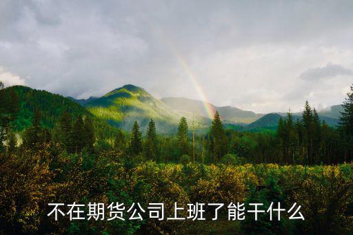 去期貨公司能做什么，本人去某期貨公司總部適合做什么
