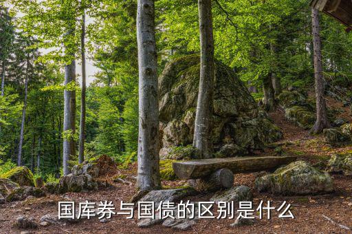 國(guó)庫券與國(guó)債的區(qū)別是什么，國(guó)庫券與國(guó)債的區(qū)別是什么