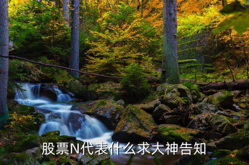 股市中n是什么意思，一些股票中前面的N是什么意思