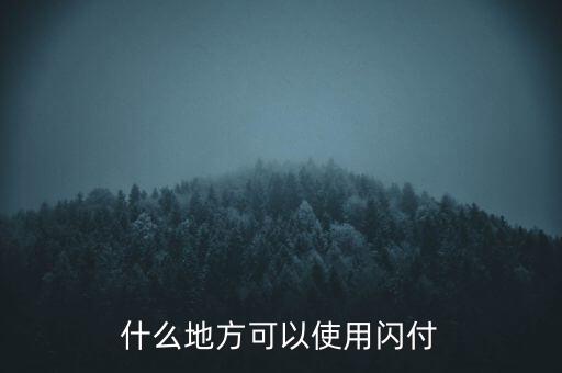 濟南什么地方支持閃付，濟南那個超市pos機有閃付