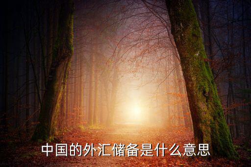 中國(guó)外匯儲(chǔ)備包括什么，我國(guó)外匯儲(chǔ)備
