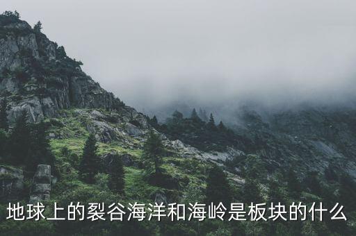 誠益通屬于什么板塊，地球上的裂谷海洋和海嶺是板塊的什么
