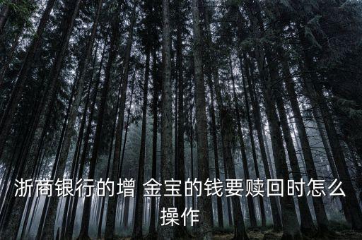 增金寶的錢怎么轉(zhuǎn)成活期,擴(kuò)金寶理財新規(guī)則