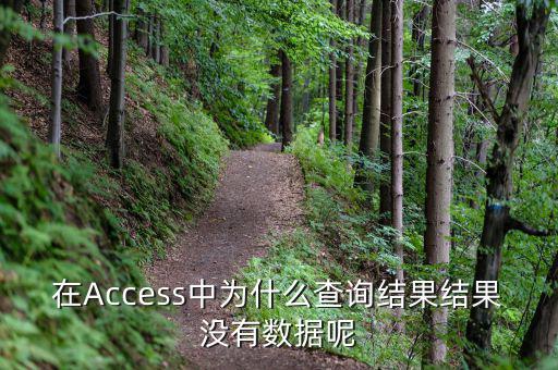 832494為什么沒有數(shù)據(jù)，在Access中為什么查詢結(jié)果結(jié)果沒有數(shù)據(jù)呢