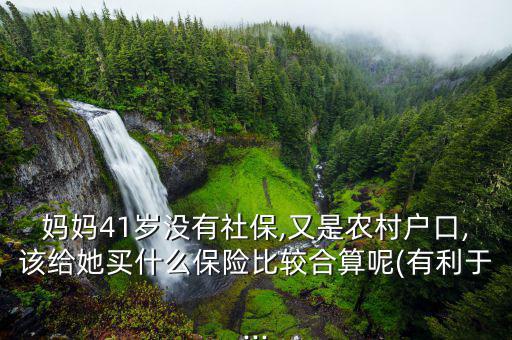 媽媽41歲沒(méi)有社保,又是農(nóng)村戶(hù)口,該給她買(mǎi)什么保險(xiǎn)比較合算呢(有利于...