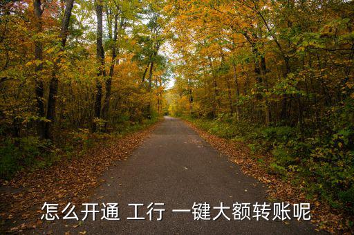 怎么開(kāi)通 工行 一鍵大額轉(zhuǎn)賬呢