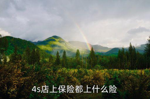 4s店買車都保什么險，誰能告訴我在4s店買的四大險都包括哪些