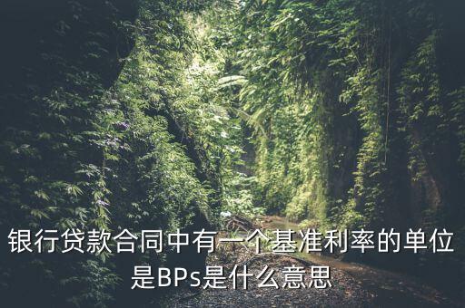 利率bps是什么意思，BPS是什么