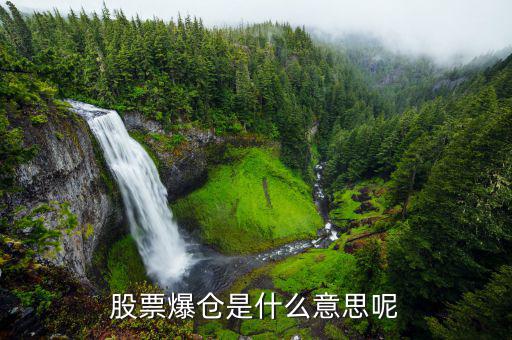 股票爆倉是什么意思，股市中的爆倉是什么意思