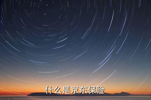 京東品質(zhì)險(xiǎn)是什么意思，京東交通險(xiǎn)是什么意思