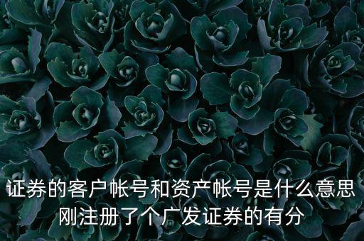 申萬宏源資產賬號是什么，我知道瀘A股東的賬號怎么查資金賬號申萬宏源