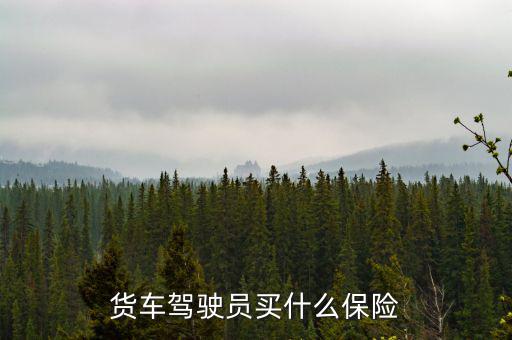 貨車司機買什么保險好，大貨車買什么保險最好