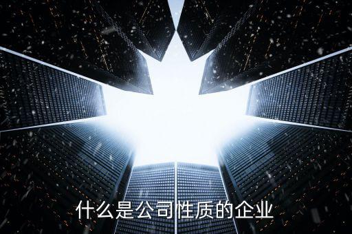 中期集團(tuán)是什么性質(zhì)的企業(yè)，集團(tuán)是什么性質(zhì)的公司