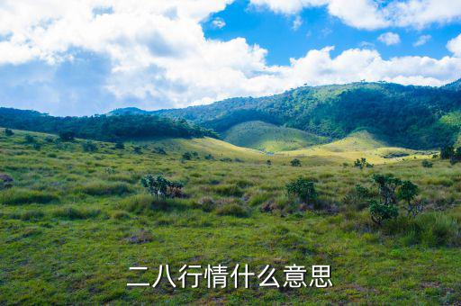 什么是288指數，股票二八現象是什么意思