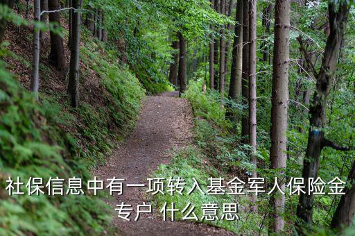 什么是社保轉入基金，請問一下社保綜合中轉入基金是什么呢不明白里面的基金是怎么回事