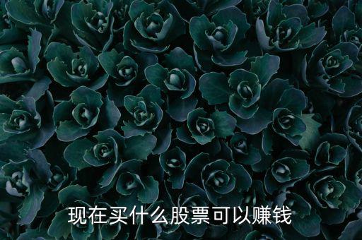 今年買什么股票可以賺錢，現(xiàn)在買什么股票可以賺錢