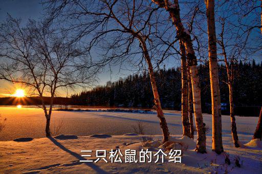三只松鼠都做了什么，三只松鼠的銷售模式