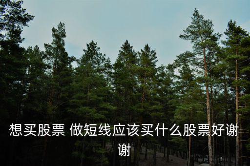 短線買什么股票好，散戶短線買哪些股票好