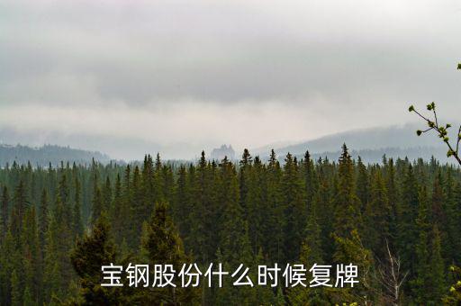 寶鋼什么時(shí)候復(fù)牌，武鋼和寶鋼什么時(shí)候完成重組