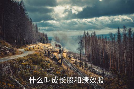 什么績效股票，什么叫成長股和績效股