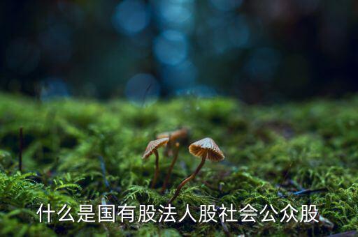 什么情況叫公眾持股，股份制上市企業(yè)誰能幫我解釋一下它是公企還是私企