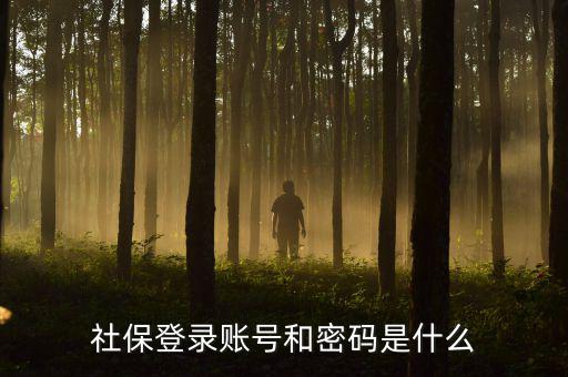 社保查詢個人賬戶密碼是什么，社保登錄賬號和密碼是什么