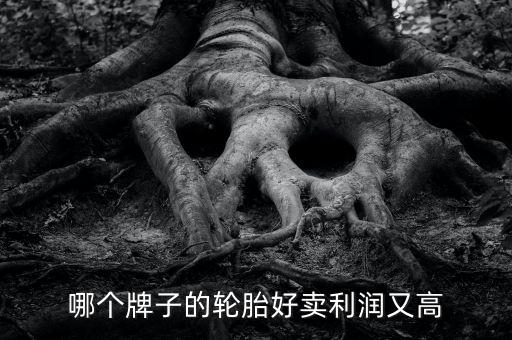 什么輪胎利潤大，哪個牌子的輪胎好賣利潤又高