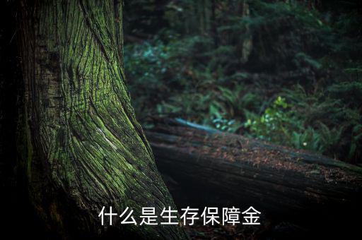 什么是生存保險金，什么是生存保障金