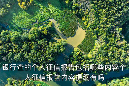 個(gè)人征信查詢都查什么，個(gè)人征信擔(dān)保審查都查什么