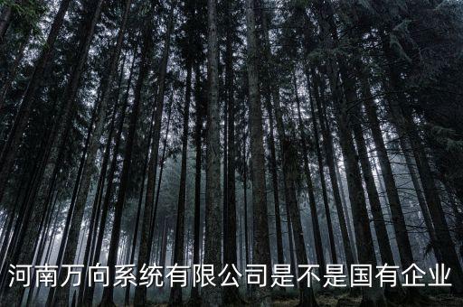 萬向集團(tuán)是什么企業(yè)，萬向集團(tuán)公司是哪一家公司設(shè)計(jì)的