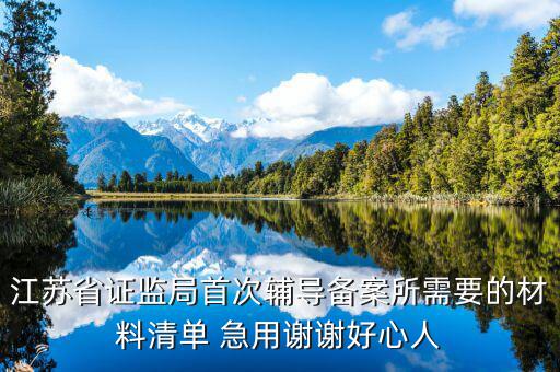 輔導(dǎo)備案登記受理是什么階段，我想問一下辦一般納稅人申請后我們的輔導(dǎo)期是當(dāng)月 15小