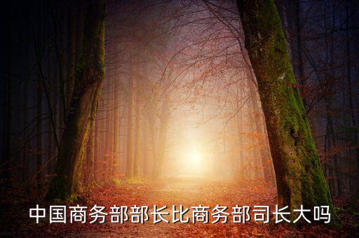 商務(wù)部部長什么級別，商務(wù)部部長多大的官