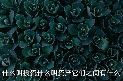 什么叫可投資資產(chǎn)，什么叫個(gè)人可投資資產(chǎn)懂的答有分送呦