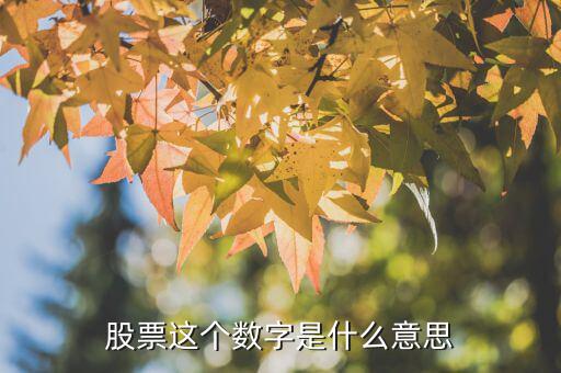股票這個數字是什么意思