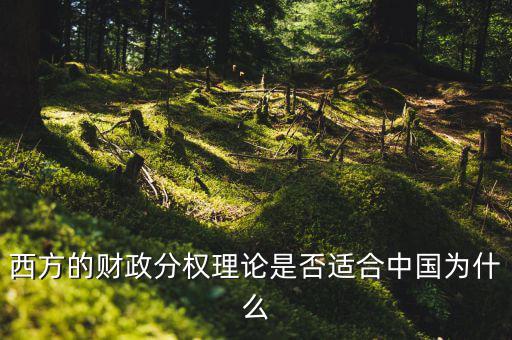西方的財(cái)政分權(quán)理論是否適合中國(guó)為什么