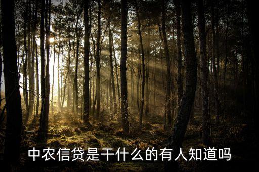 中農信貸是干什么的有人知道嗎