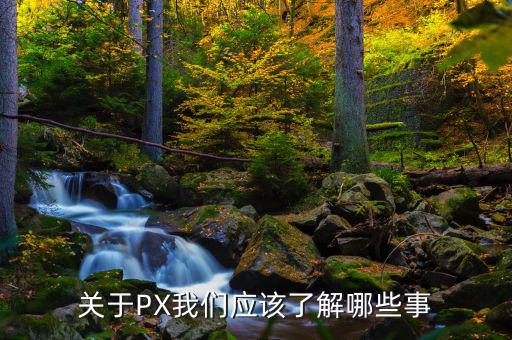 px項目是干什么的，關(guān)于PX我們應該了解哪些事