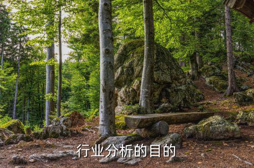 為什么要進行行業(yè)分析，為什么要進行市場分析