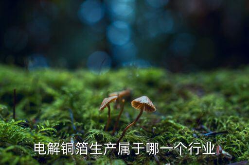 電子銅箔屬于什么行業(yè)，電解銅箔生產(chǎn)屬于哪一個(gè)行業(yè)