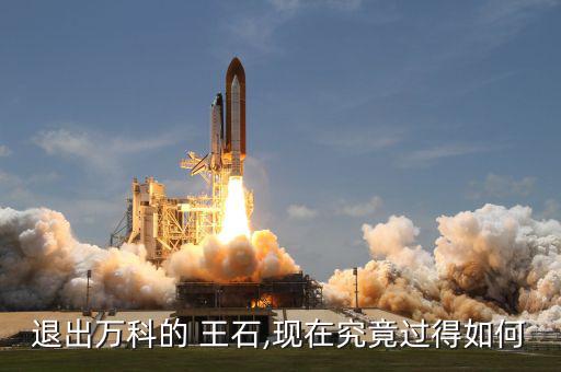 王石現(xiàn)在怎么樣,王瑞杰:等我成功，萬科就不需要王石