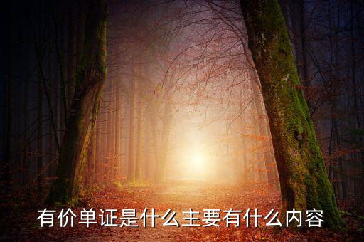 有價(jià)單證是什么主要有什么內(nèi)容