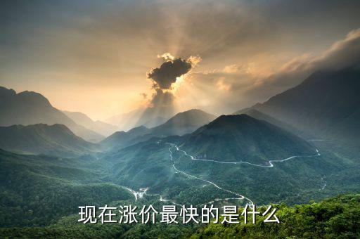 什么漲價快，大家猜猜看 什么東西會漲價的很快
