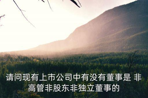 什么是非獨(dú)立董事，什么叫執(zhí)行董事非執(zhí)行董事和獨(dú)立非執(zhí)行董事