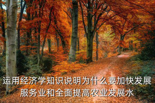 運用經(jīng)濟學(xué)知識說明為什么要加快發(fā)展服務(wù)業(yè)和全面提高農(nóng)業(yè)發(fā)展水