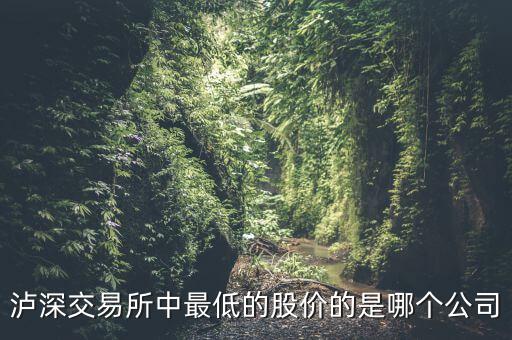 瀘a最便宜的股是什么股，A股最便宜的股票是什么股