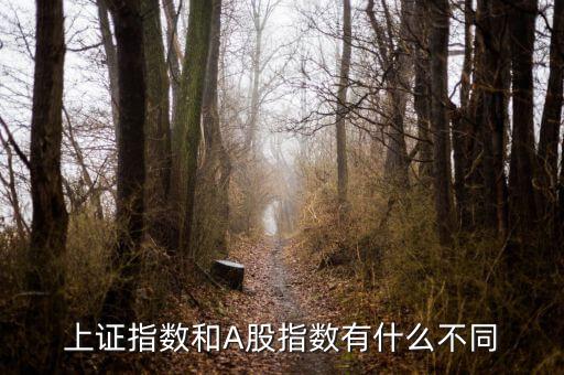 上證指數(shù)和A股什么區(qū)別，上證指數(shù)和A股指數(shù)有什么不同