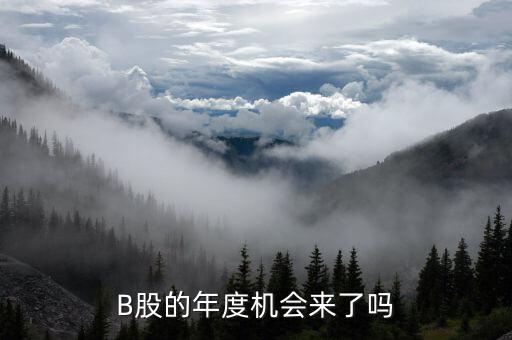 b股有什么消息嗎，B股會有明天嗎