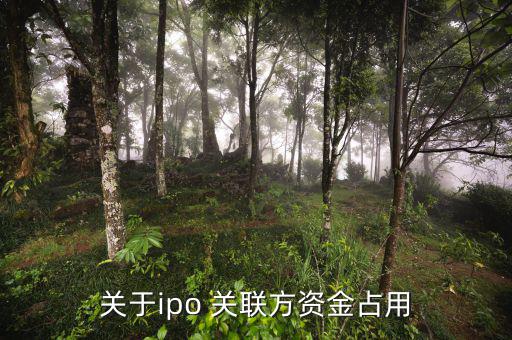 什么是關(guān)聯(lián)方資金占用，關(guān)于ipo 關(guān)聯(lián)方資金占用