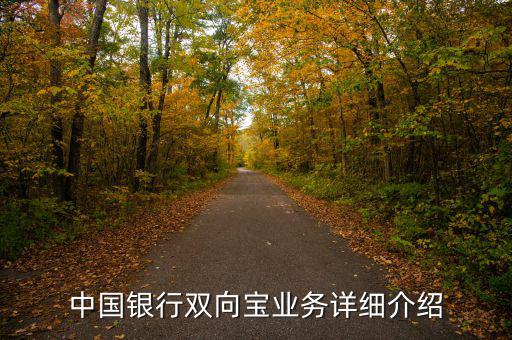 中行雙向?qū)毷鞘裁?，中?guó)銀行雙向?qū)殬I(yè)務(wù)詳細(xì)介紹