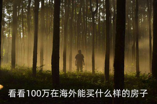 100萬在國外能買什么，看看100萬在海外能買什么樣的房子